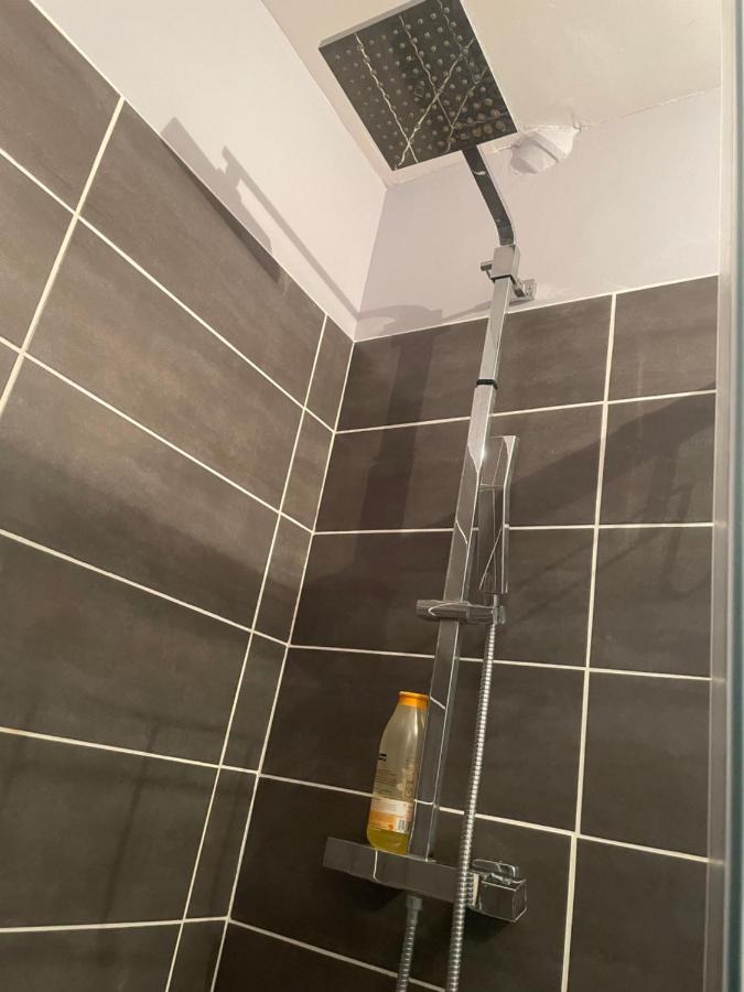 Appartement Rdc Calme En Hyper Centre-Ville ديجوا المظهر الخارجي الصورة